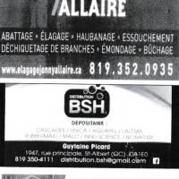 Johnny Allaire, BSH et Stratos